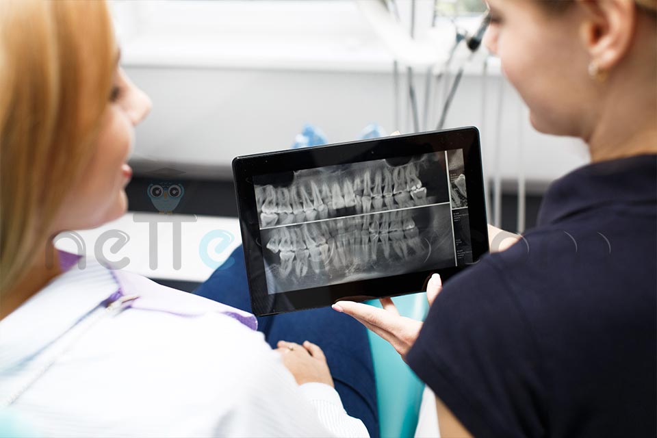 Diş Hekimliği Uzmanlık Alanları Puanları Nedir? , Diş Hekimliği En İyi Uzmanlık Alanları Nelerdir?